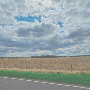 Video 1 trigger image